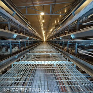 河南华顺2025款层叠蛋鸡笼好操作客户青睐