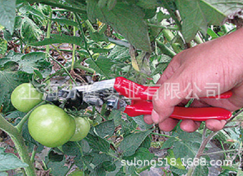 卡玛兹CZ-01采摘钳 果树采摘器 瓜蔓剪 农用苗木修剪