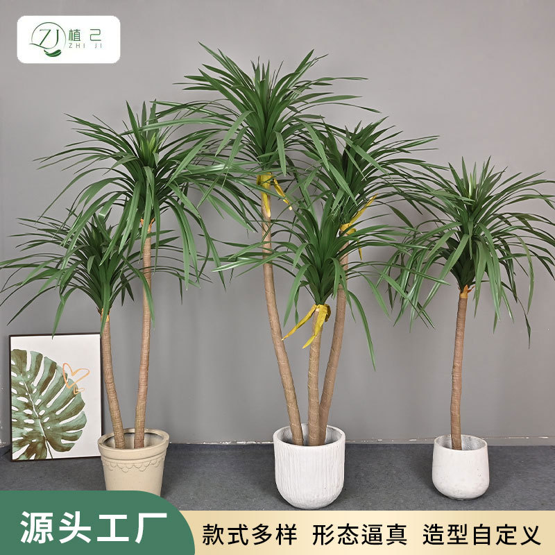 仿真绿植龙须树室内家居大型落地植物装饰摆件园艺造景龙须树