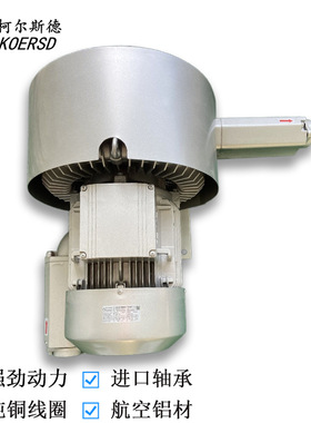 2HB810-AH27化工行业配套高压旋涡气泵