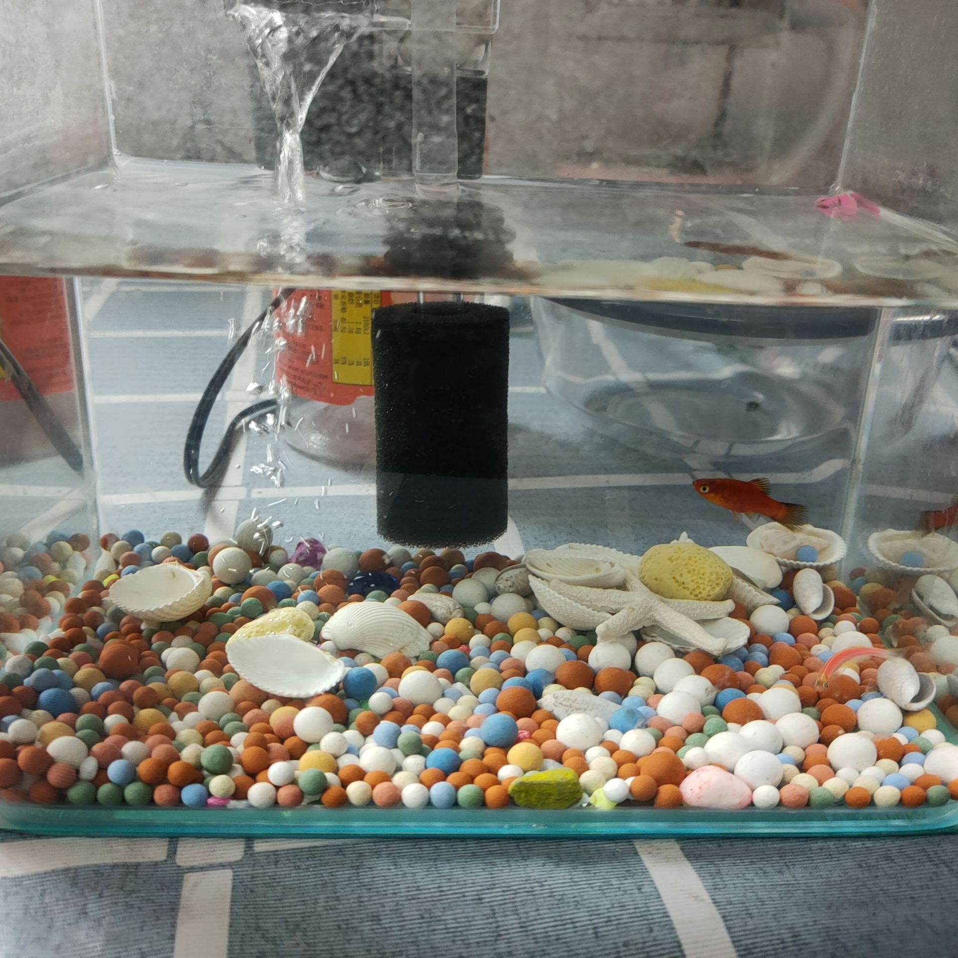 厂家直供水族鱼缸造景用彩色陶粒净化水质颗粒均匀不粉化陶瓷球