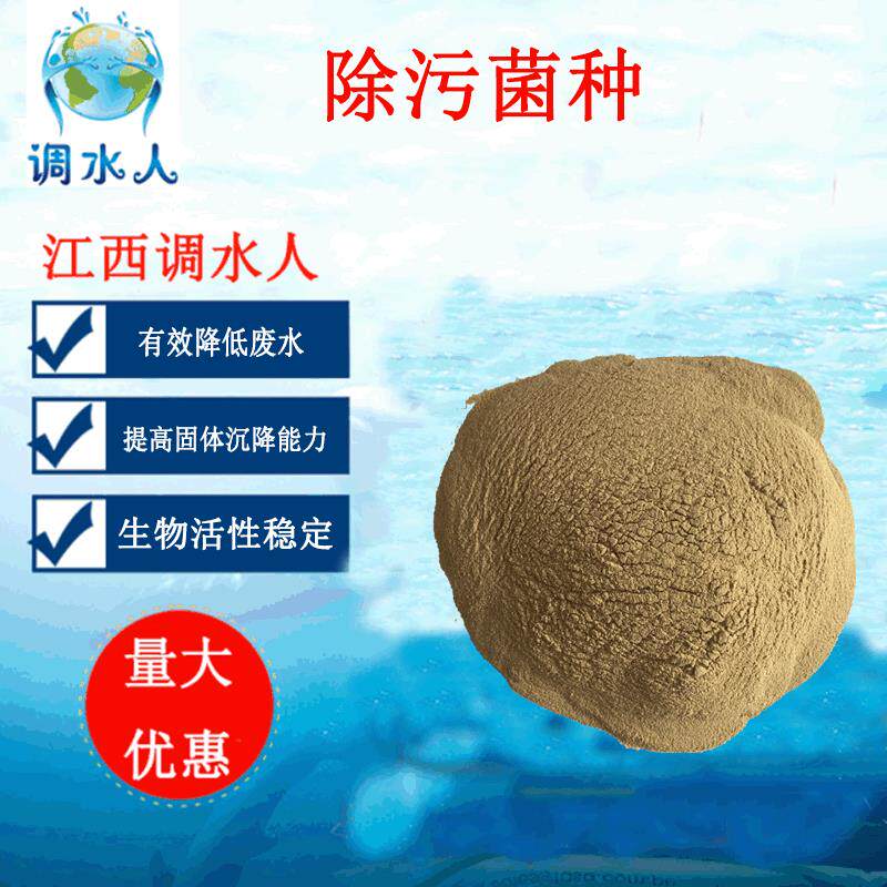 污水处理菌种高浓有效除油生活污水废水污水处理菌种