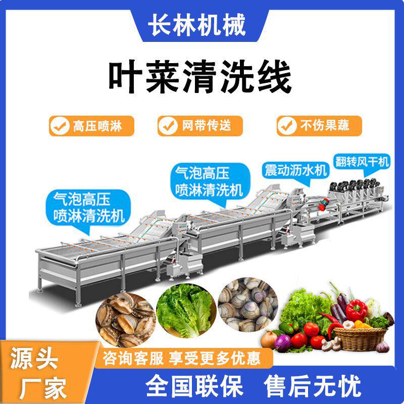 商用气泡清洗机辣椒西红柿净菜加工流水线生菜油菜全自动清洗设备