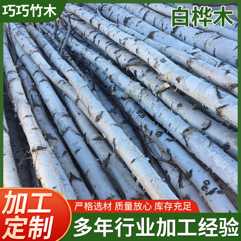 白桦树装饰树杆 桦木原木干花枯树枝 婚庆橱窗隔断造景白桦树杆