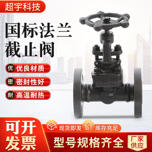 40C A105锻钢锻打法兰截止阀DN15 16C 25C J41H
