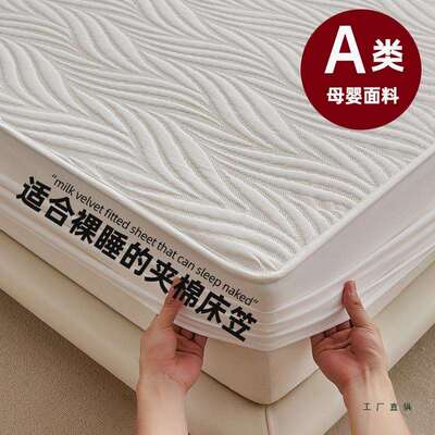 床笠2025新款四季通用床罩单件席梦思床垫保护罩防尘床套加厚夹棉