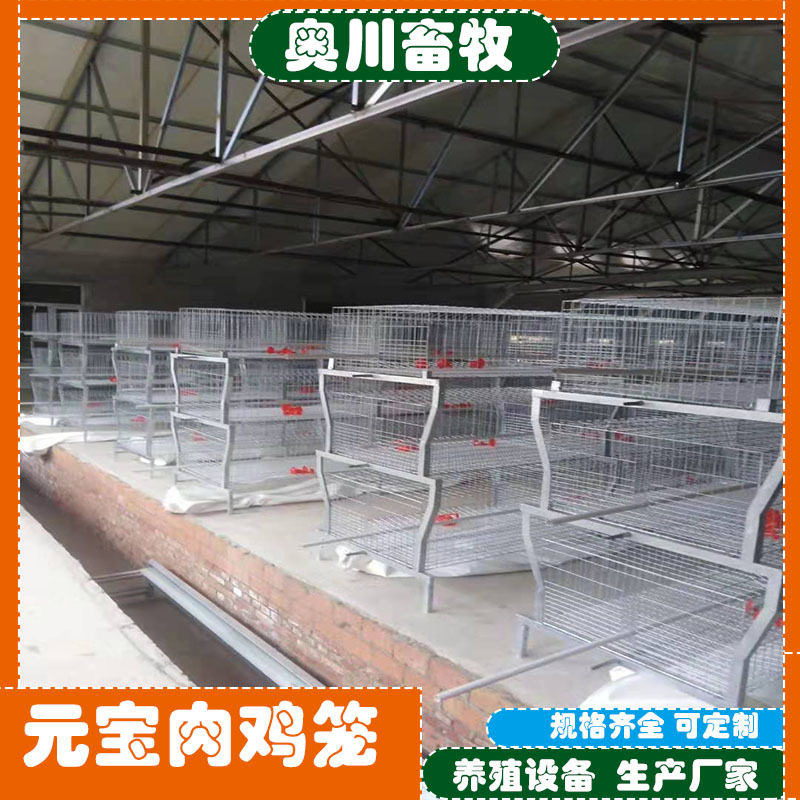 X-肉鸡笼子家养鸡笼养殖厂鸡笼肉鸡笼三层两门四层两门元宝肉鸡笼