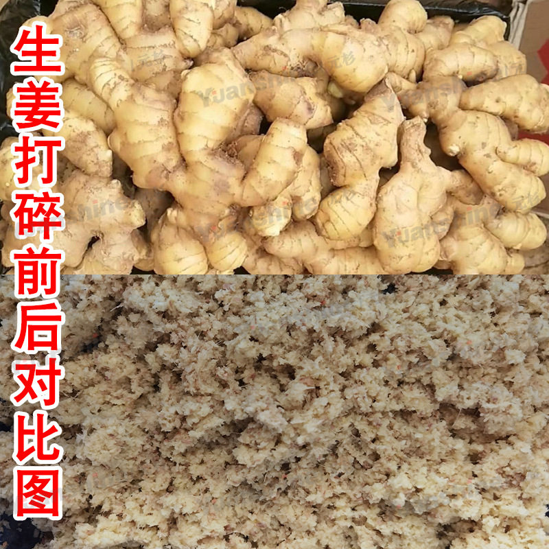 多功能打碎机 果蔬打碎机 番茄酱花生酱打碎机 净菜打碎设备