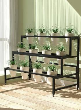 形式兰花架985子兰草盆架花店鲜花示置架梯落地花盆架室内多层展