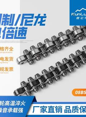 12b2s钢单倍速链条IRR货12BSP-4-P28/C8-4现8-28输送线单倍速链条