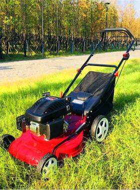 款自走式大草植坪割草机汽油AL-65541马力草坪修剪机园林绿化保新