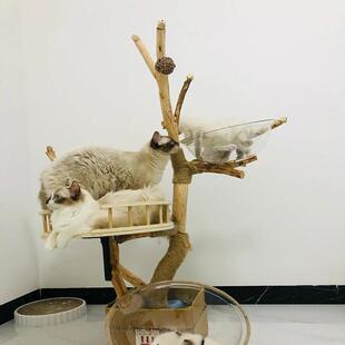 猫猫爬架木实手制作原木干树枝大型精品窝加大other宠物树洞跳工