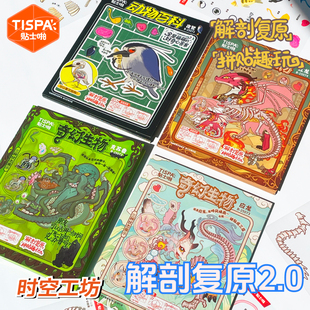 时空工坊解剖复原2.0贴纸拼图3D可爱摆件DIY手账益智玩具儿童造景