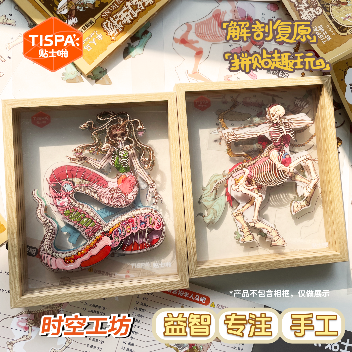 时空工坊解剖复原5.0贴纸拼图摆件奇幻生物可视结构益智玩具儿童,文具电教/文化用品/商务用品,贴纸/立体贴纸,淘宝优惠券,粉丝福利购,淘宝优惠卷