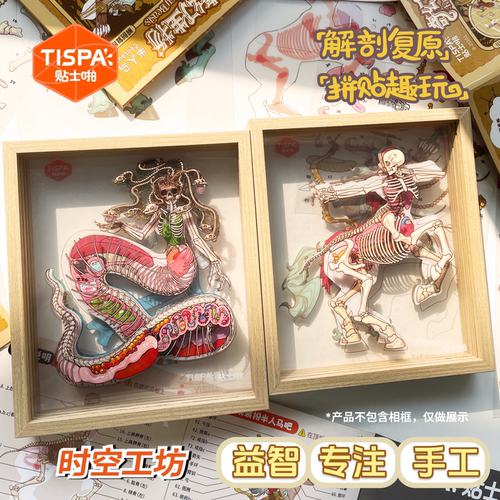 时空工坊解剖复原5.0贴纸拼图摆件奇幻生物可视结构益智玩具儿童
