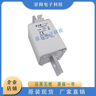 熔断器170M4190 4191 4192 4193 4194 4195 4196 4197 4198 4202