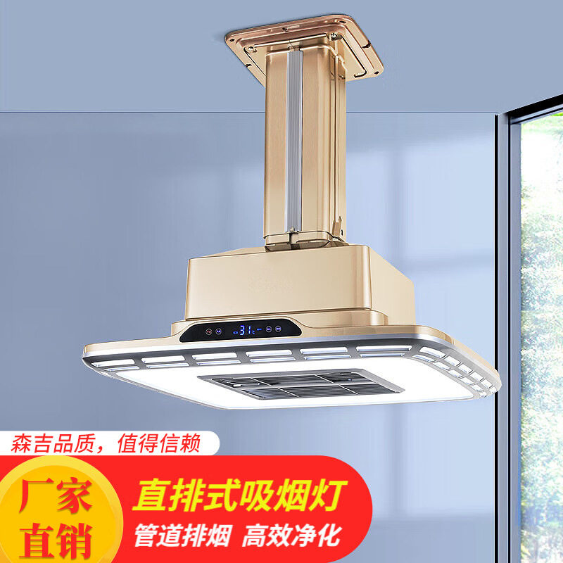 管道外排升降LED棋牌室空气净化灯麻将吸烟除烟灯新风空气净化器