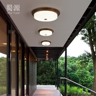 户外吸顶灯别墅自建房大门口屋檐阳台庭院走廊防水防虫三防