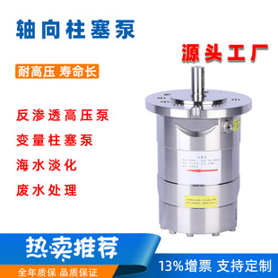 反渗透轴向柱塞泵 2205不锈钢耐腐蚀柱塞泵 海水淡化高压柱塞泵