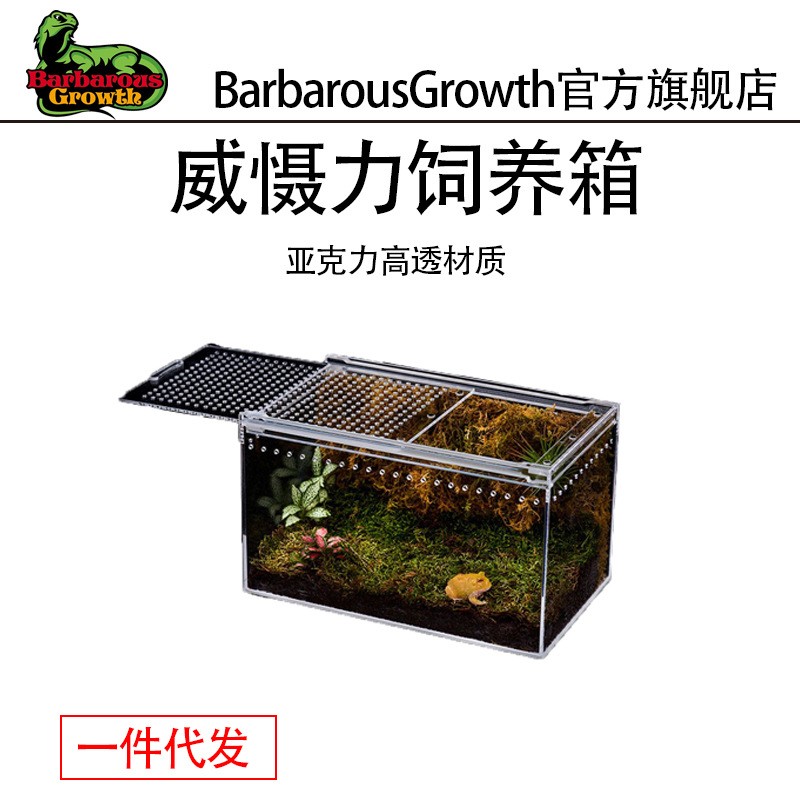 亚克力爬宠守宫蜥蜴饲养箱生态沙漠造景宠物蛇树栖角蛙乌龟水陆缸