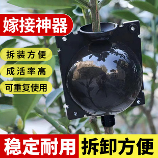 速发植物高压神接盒生根盒繁殖球花根器园艺控卉果树移植扦插育苗