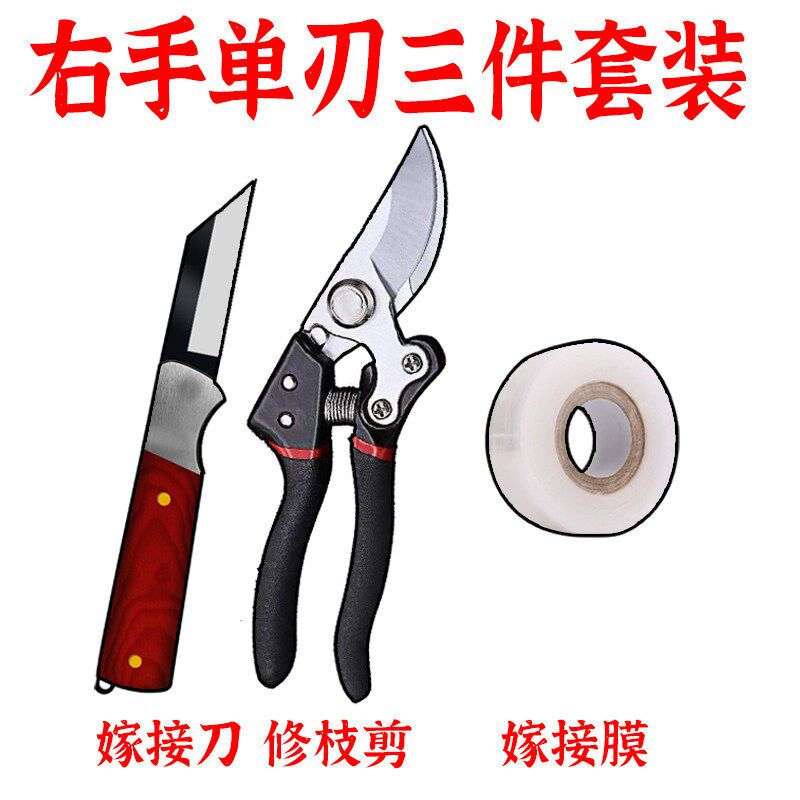 速发果木苗实用嫁接刀修枝剪刀整枝折叠锯嫁接膜四件套装园艺芽接