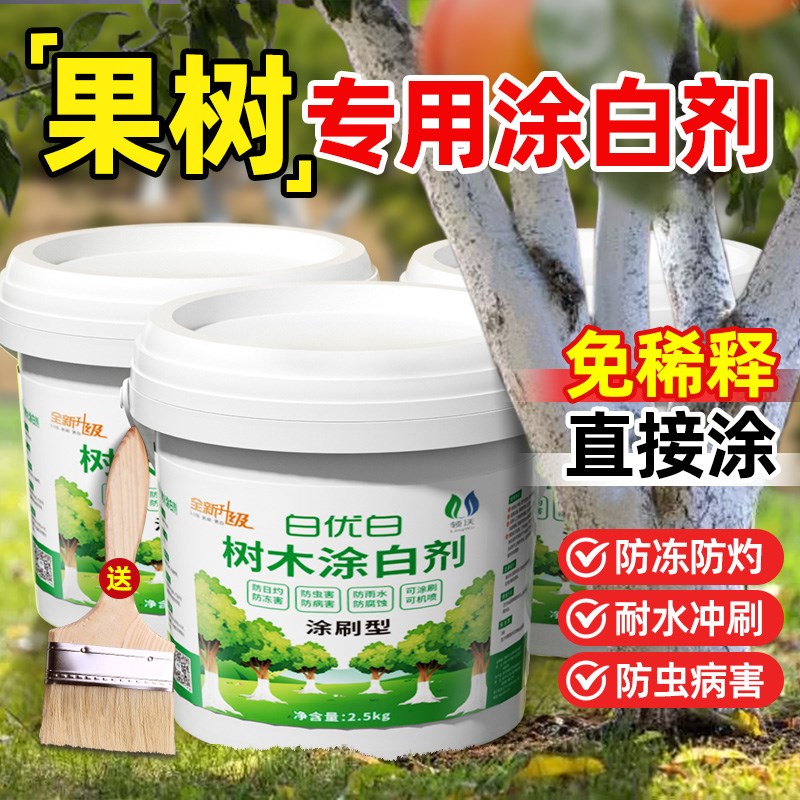 速发果树涂白剂大干树木防虫型防冻树树盆景刷霜防寒白冻抗病