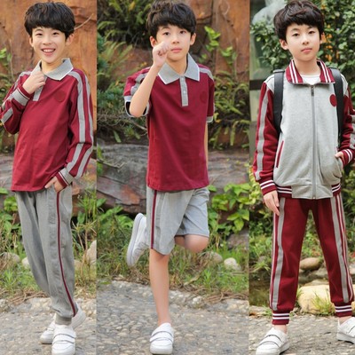 东莞凤岗镇校服小学生夏秋冬套装