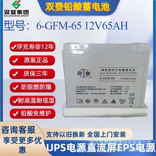 双登蓄电池12V120AH铅酸免维护6 120直流屏UPS太阳能备用电源 GFM