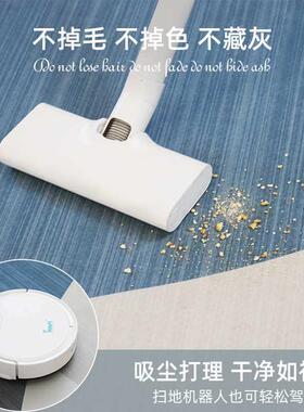 可擦地房垫大面积沙免洗202地5发毯防水客厅家用感防VXU水间全铺