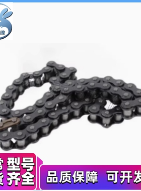 VMB/VMC/VMD/VMF/VMG/VMK/VML/VMN01-25/35/40/50/60/80/100 链条