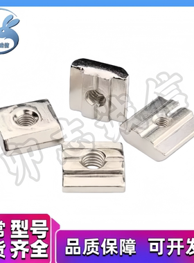 SLNSN6/8/10-20/30/40/45-3/4/5/6/8/10 不锈钢 滑块螺母