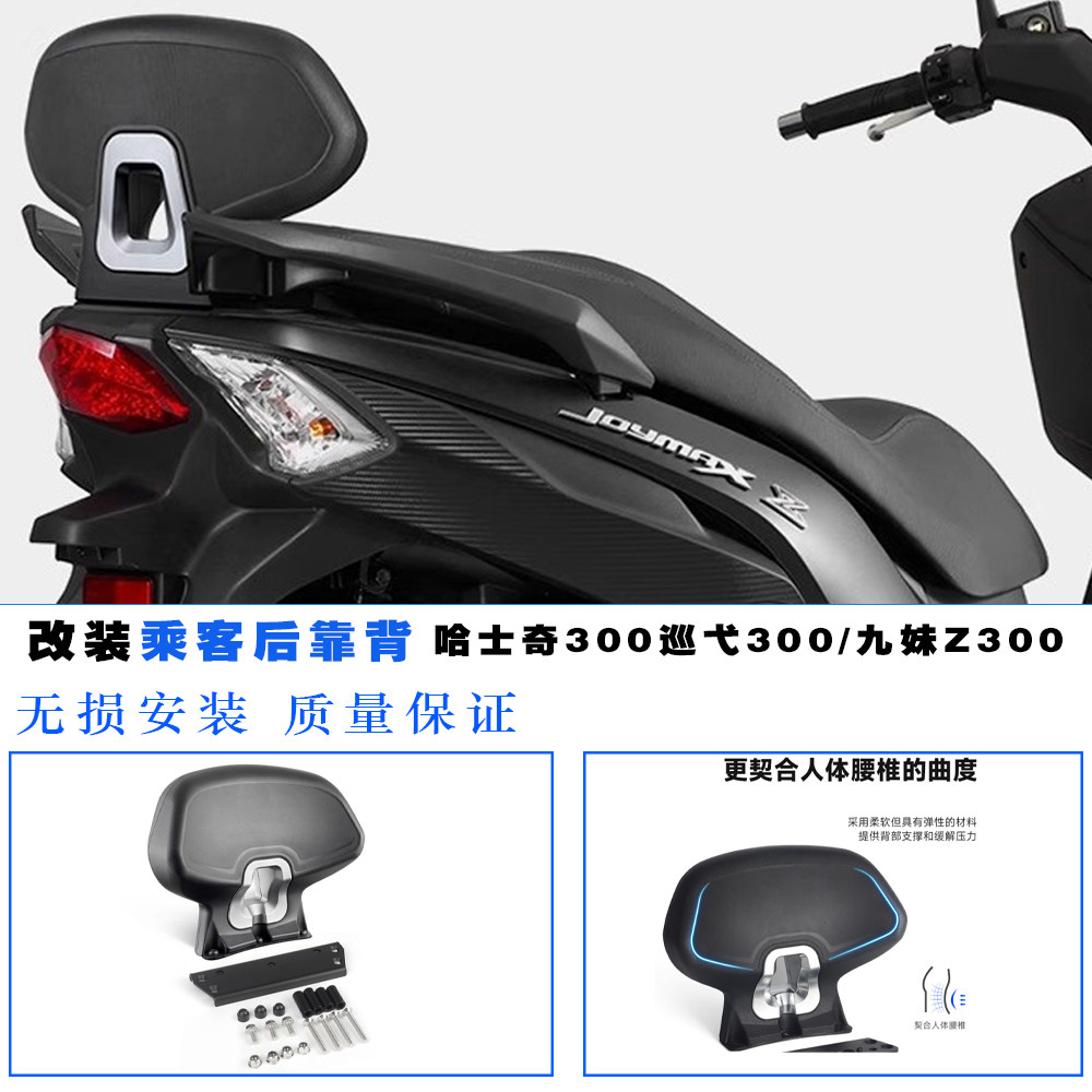适用于三阳SYM哈士奇300改装靠背
