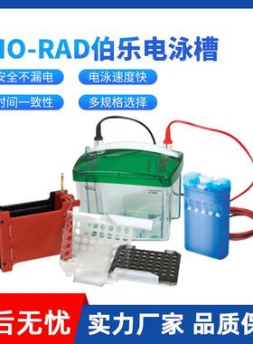伯乐电泳槽一级美国伯乐BIORAD垂直电泳槽电泳仪转印槽蛋白槽