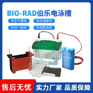 伯乐电泳槽一级美国伯乐BIORAD垂直电泳槽电泳仪转印槽蛋白槽