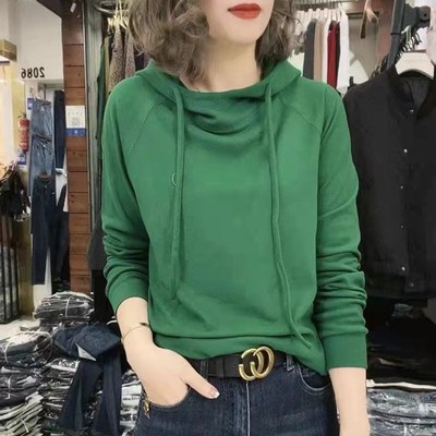 欧货刺绣双面绒加厚连帽卫衣女2024秋冬宽松德绒打底帽衫女小衫t