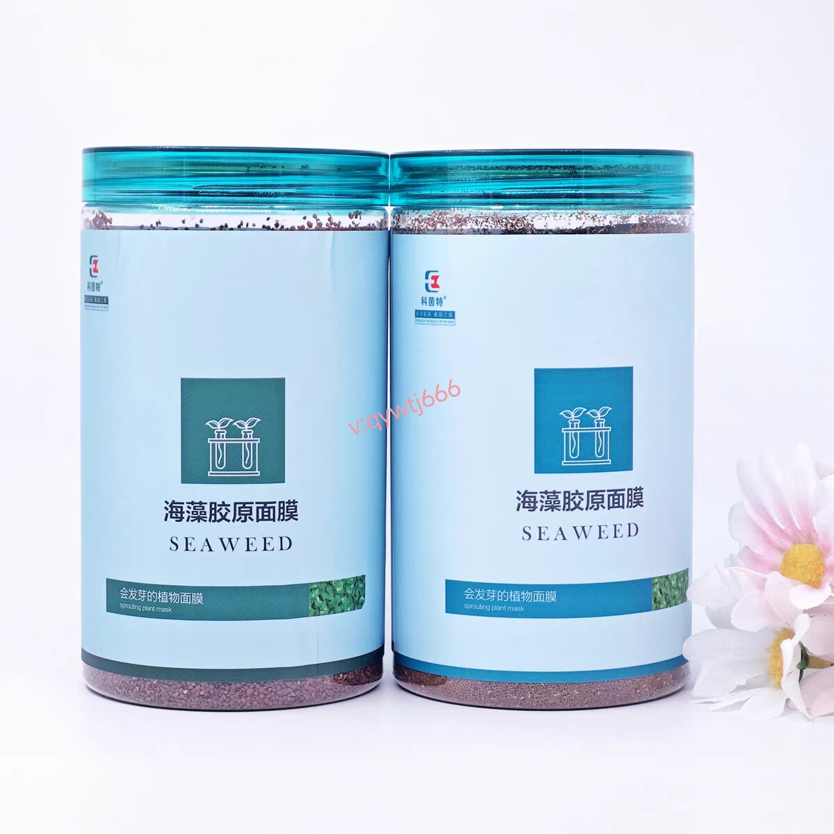 科茵特海藻胶原面膜小颗粒面膜大颗粒灌装滋润补水保湿舒缓正品