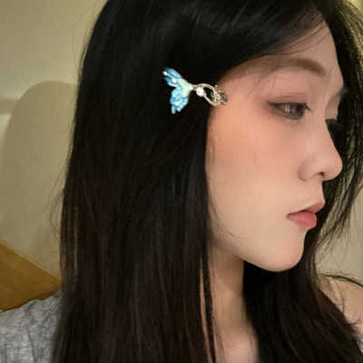 百搭精致发量多发夹气质边夹精致