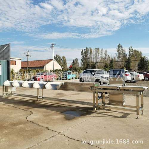 厂家供应白条鸡鸭大小分级机 活鱼带鱼皮带式重量分选机 检重秤