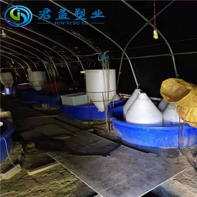 养殖丰年虫泥鳅孵化桶 温室大棚养雨尖底塑料桶 聚乙烯养殖桶