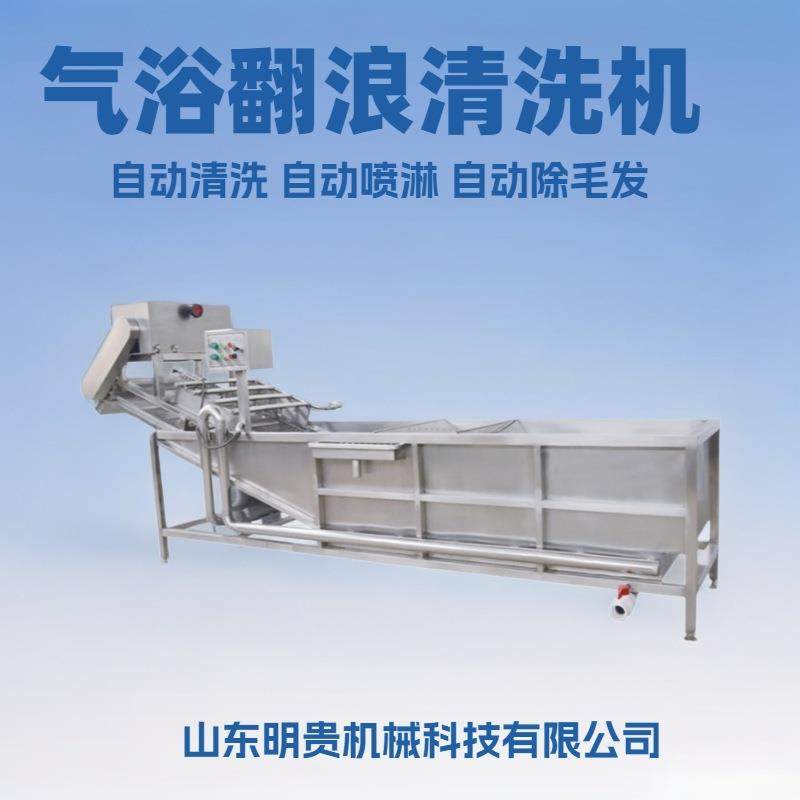 海参气泡喷淋清洗机 鲍鱼鼓泡翻浪清洗机 小龙虾多功能清洗流水线,清洗/食品/商业设备,果蔬加工设备,淘宝优惠券,粉丝福利购,淘宝优惠卷