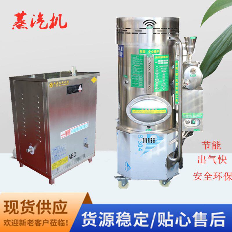 厂家现货工业蒸汽机 蒸馒头 煮浆配套设备 燃气款蒸汽发生器