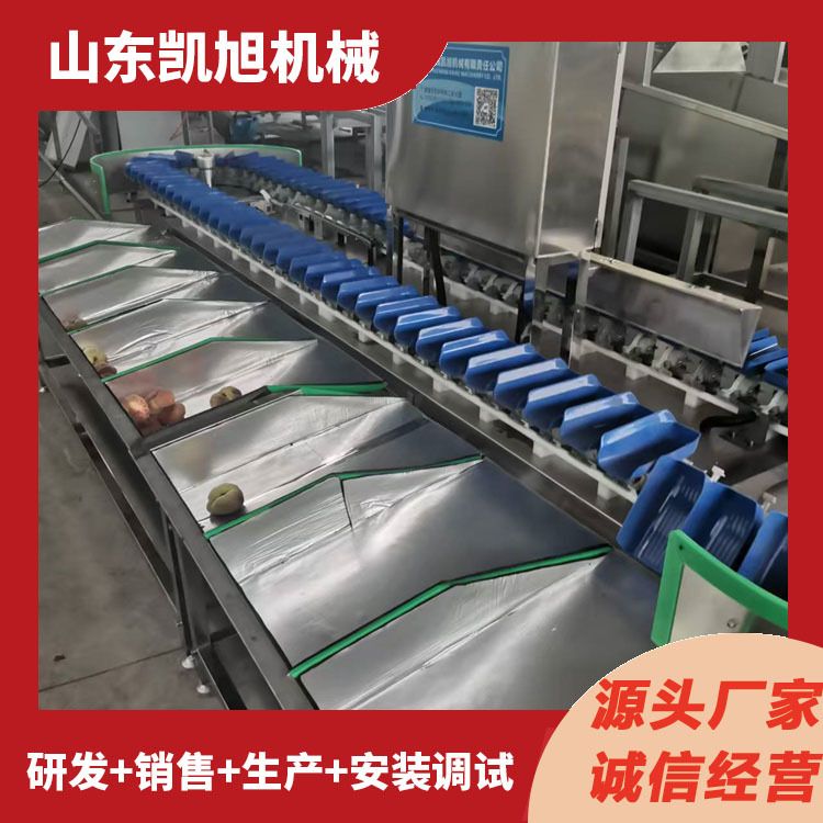 小型水果自动重量筛选机 芒果木瓜称重分选机 源头厂家售后无忧