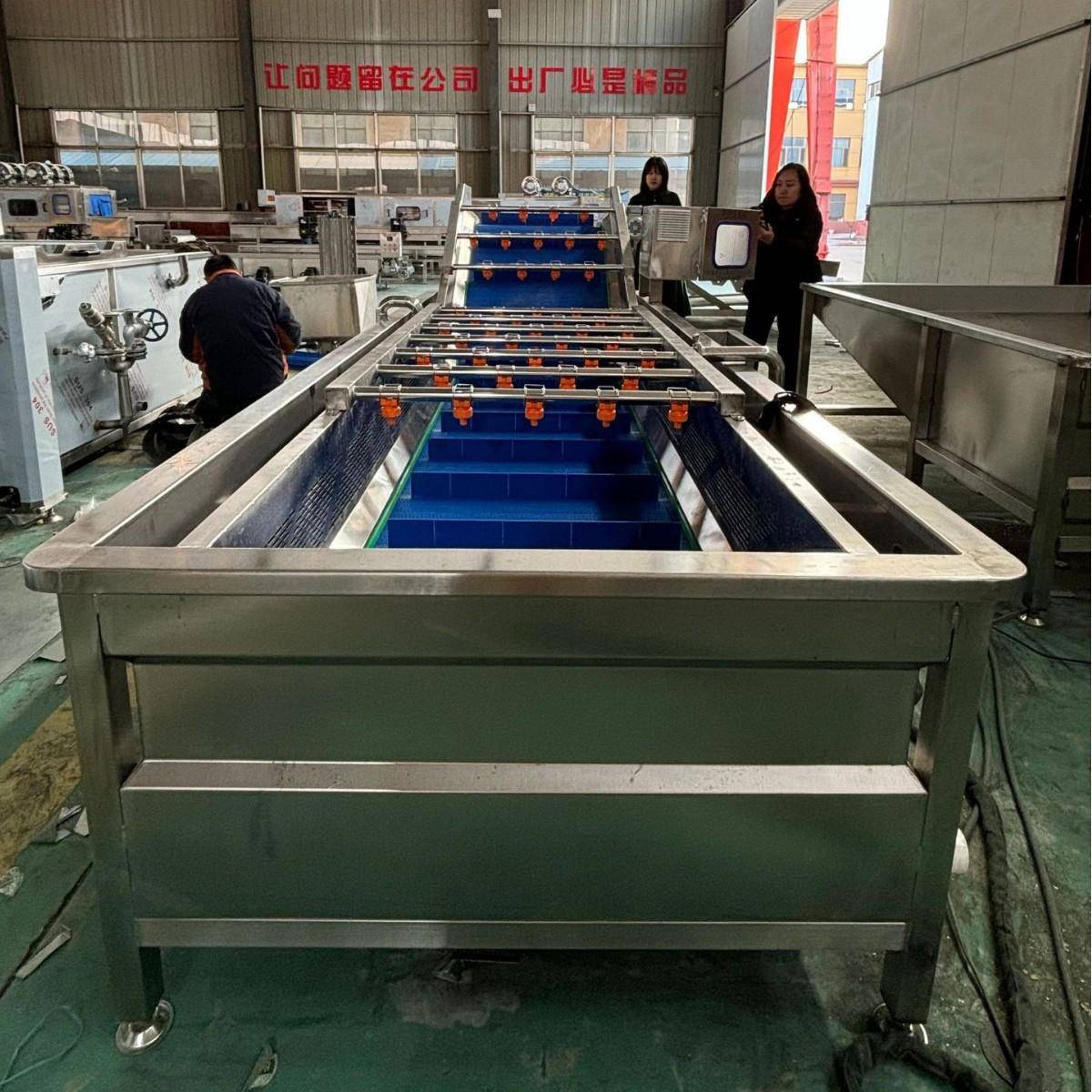 青菜去泥清洗机上海青蔬菜清洗机臭氧除菌气泡水浴清洗机