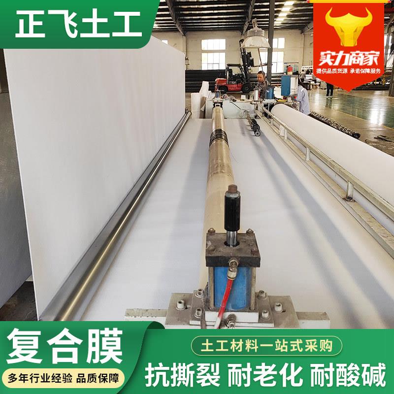 水产鱼塘养殖水库堤坝工程用复合膜两布一膜垃圾填埋场复合土工膜
