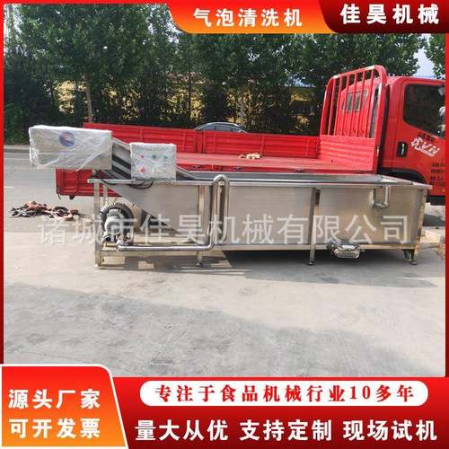 商用草莓清洗机器全自动气泡红枣清洗机果蔬净菜洗菜机生产线设备