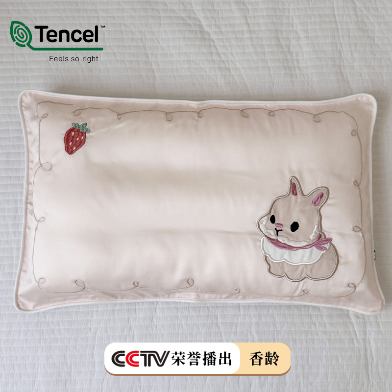 重工刺绣兰精天丝儿童枕套绣花可爱宝宝枕头套枕皮 30*50单人单只