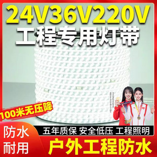 LED灯带24v36v220v卷100米室外防水工程工地下室隧道养殖照明灯条