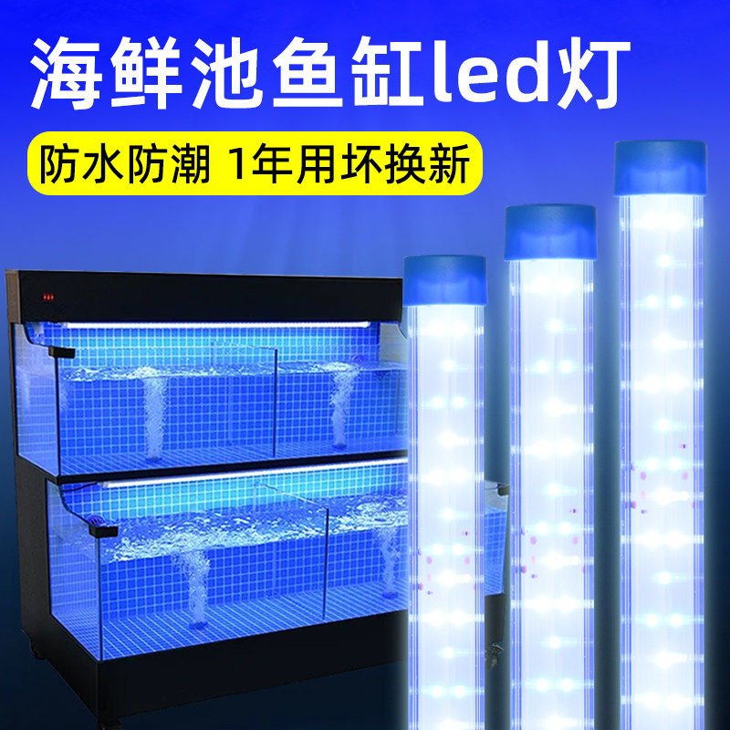 220V海鲜池灯管鱼缸专用led照明补光饭店鱼池水产超亮防水蓝白光,宠物/宠物食品及用品,照明器材,淘宝优惠券,粉丝福利购,淘宝优惠卷