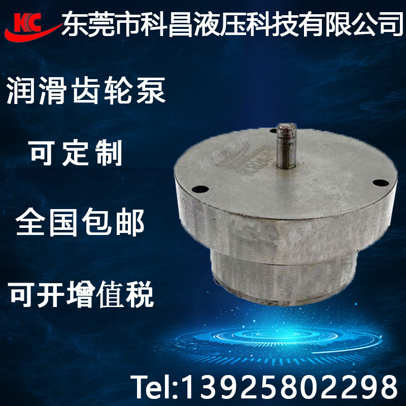 科昌RCB24润滑齿轮泵合金钢自动机床KC油泵芯泵头增压高压液压泵